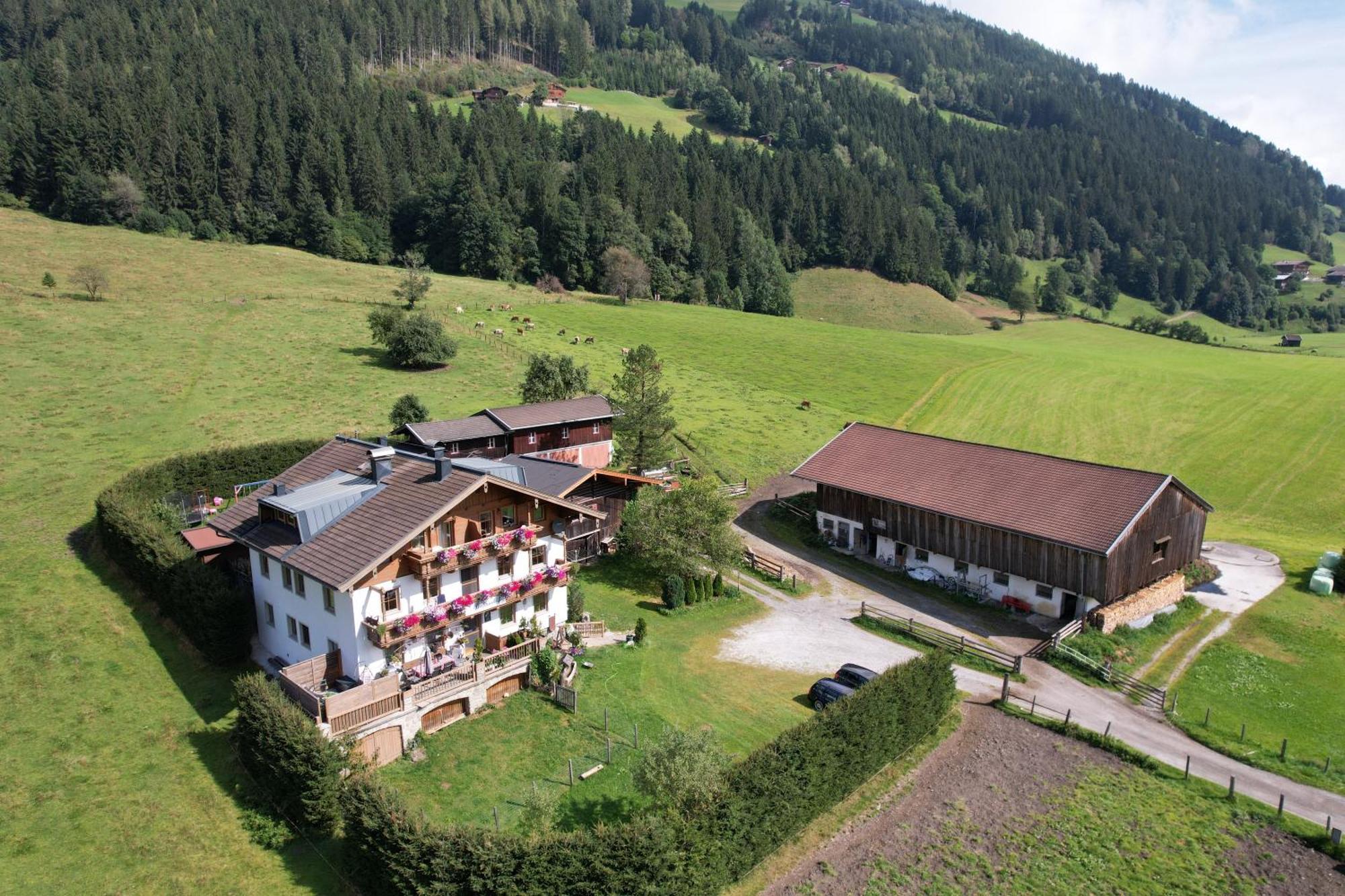 Behamhof Apartment